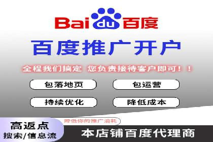 百度SEM推广在电商行业的应用案例